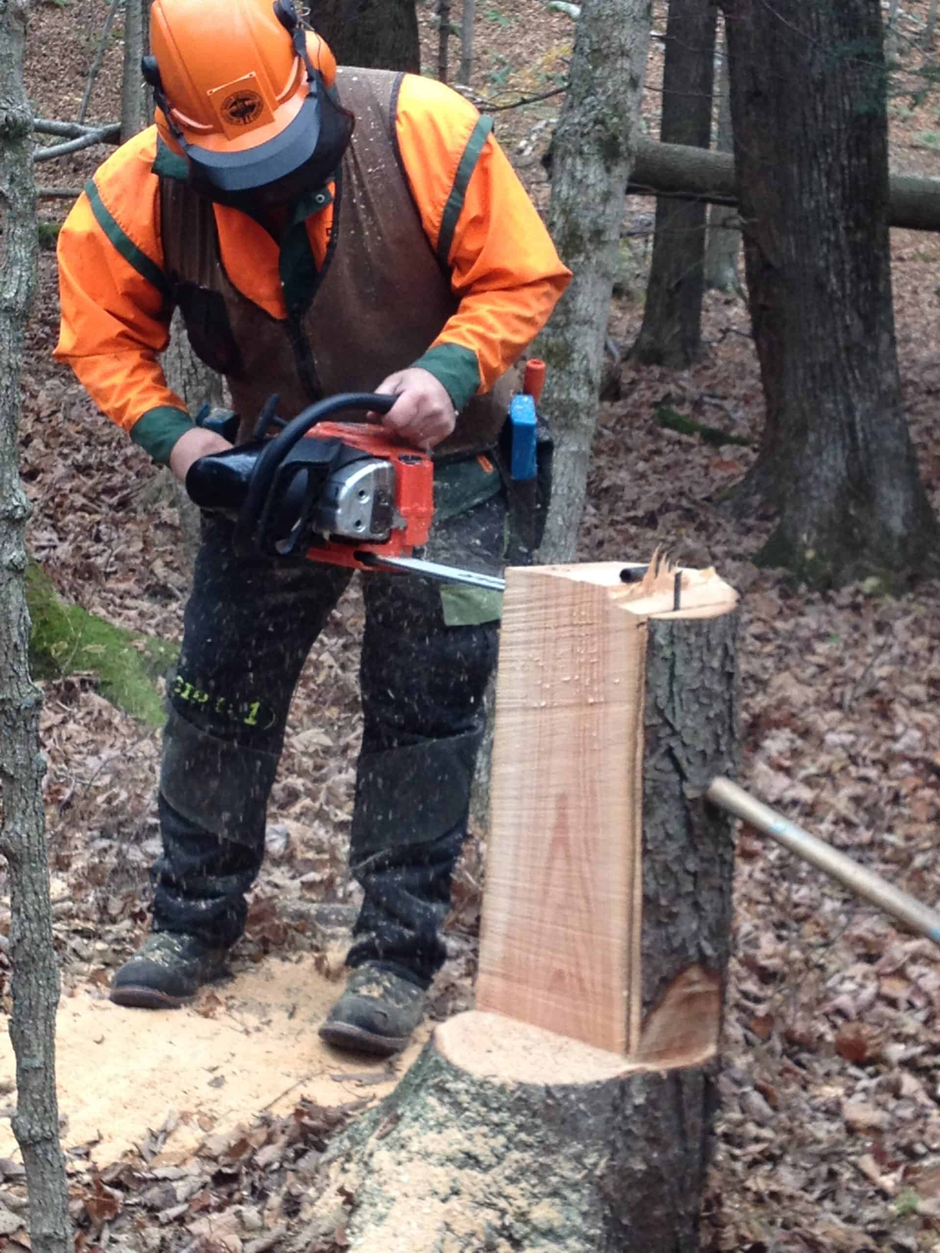 Chainsaw Safety - Pennsylvania SFI®